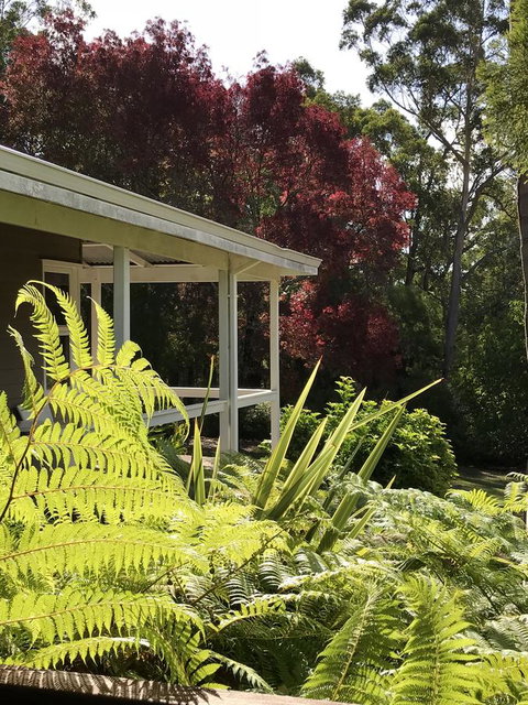 Forest Lodge Resort - New South Wales Tourism  14