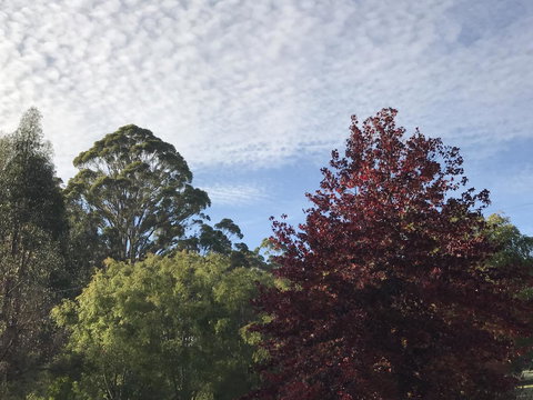 Forest Lodge Resort - New South Wales Tourism  39