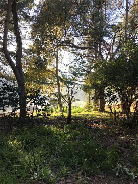 Forest Lodge Resort - New South Wales Tourism  33