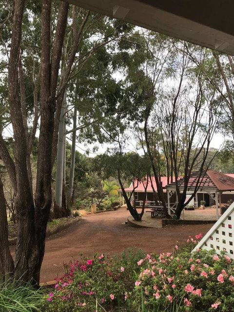 Forest Lodge Resort - New South Wales Tourism  9