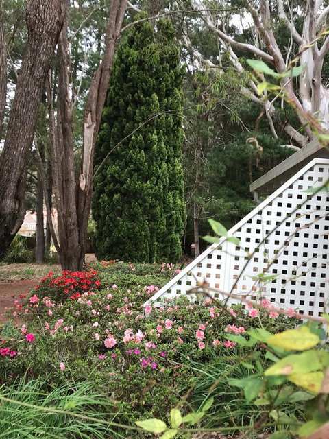 Forest Lodge Resort - New South Wales Tourism  7