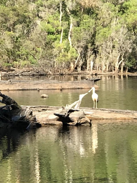 Forest Lodge Resort - New South Wales Tourism  25