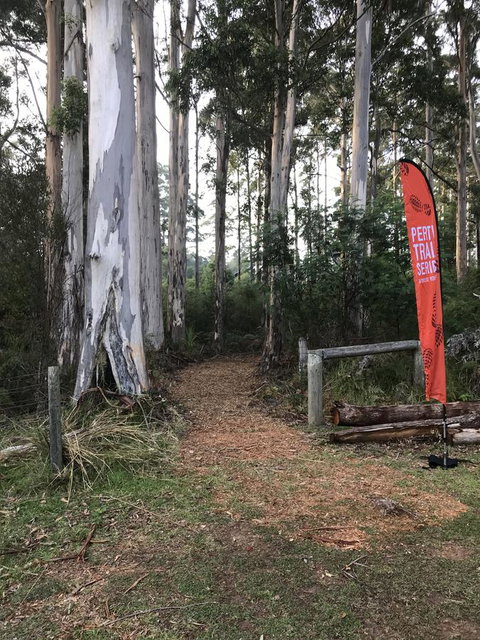 Forest Lodge Resort - New South Wales Tourism  28