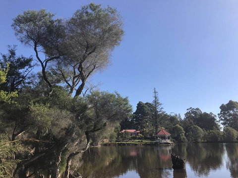 Forest Lodge Resort - New South Wales Tourism  36