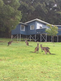 Book Denmark Accommodation Vacations New South Wales Tourism New South Wales Tourism 