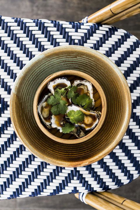 Anchorage Port Stephens - New South Wales Tourism  16