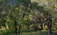 Karriview Margaret River - thumb 43