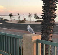 Shark Bay Seafront Apartments - New South Wales Tourism 