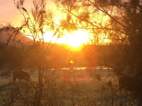 Grapevines Boutique Accommodation - New South Wales Tourism  27