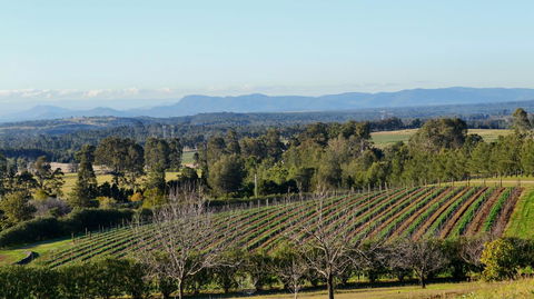 Grapevines Boutique Accommodation - New South Wales Tourism  21