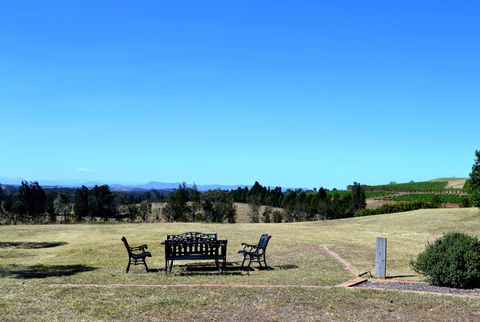 Grapevines Boutique Accommodation - New South Wales Tourism  18