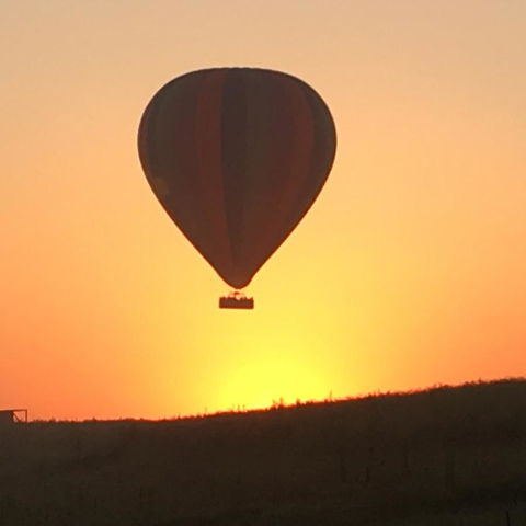 Grapevines Boutique Accommodation - New South Wales Tourism  13