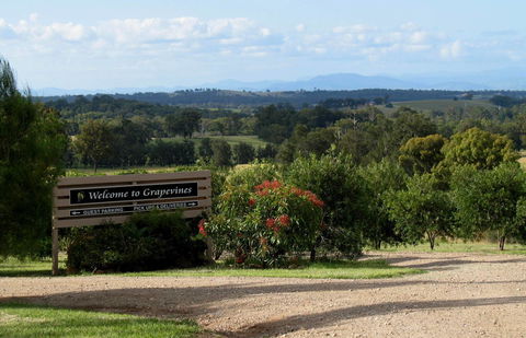 Grapevines Boutique Accommodation - New South Wales Tourism  15