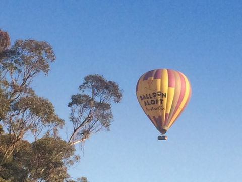 Grapevines Boutique Accommodation - New South Wales Tourism  12