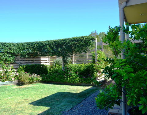 Grapevines Boutique Accommodation - New South Wales Tourism  14