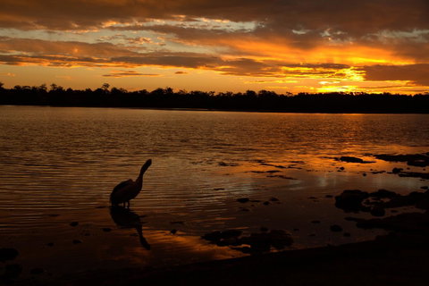 Dungowan Holiday Accommodation - New South Wales Tourism  31