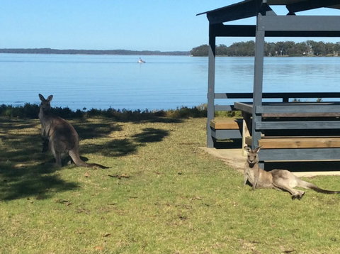 Dungowan Holiday Accommodation - New South Wales Tourism  33