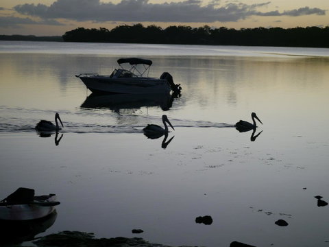Dungowan Holiday Accommodation - New South Wales Tourism  41
