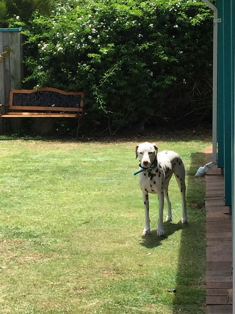 Beachside Prevelly Villas - New South Wales Tourism  31