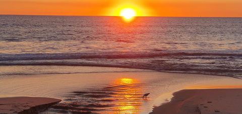 West Beach Lagoon 123 - Location & Views!!! - New South Wales Tourism  24