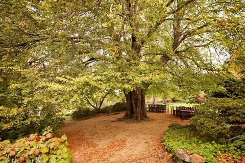 Nesuto Leura Gardens (formerly Waldorf Leura Gardens Resort) - New South Wales Tourism  1