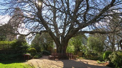 Nesuto Leura Gardens (formerly Waldorf Leura Gardens Resort) - New South Wales Tourism  3