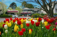 Book Leura Accommodation Vacations New South Wales Tourism New South Wales Tourism 