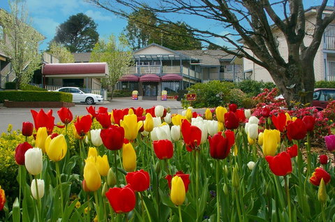 Nesuto Leura Gardens (formerly Waldorf Leura Gardens Resort) - New South Wales Tourism  0