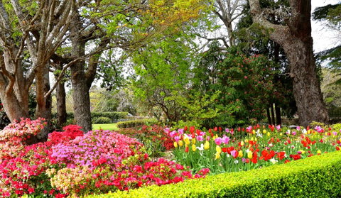 Nesuto Leura Gardens (formerly Waldorf Leura Gardens Resort) - New South Wales Tourism  8