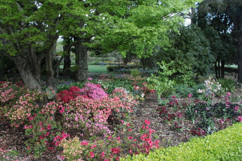 Nesuto Leura Gardens (formerly Waldorf Leura Gardens Resort) - New South Wales Tourism  2