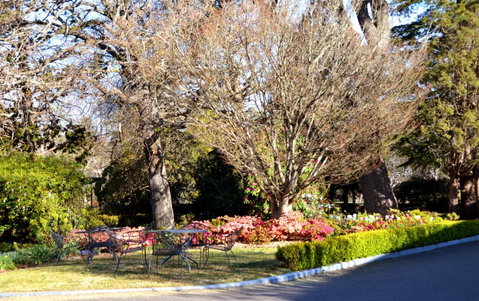 Nesuto Leura Gardens (formerly Waldorf Leura Gardens Resort) - New South Wales Tourism  7