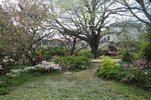 Nesuto Leura Gardens (formerly Waldorf Leura Gardens Resort) - New South Wales Tourism  4