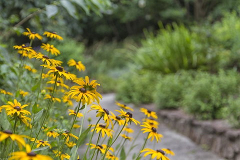 Nesuto Leura Gardens (formerly Waldorf Leura Gardens Resort) - New South Wales Tourism  16