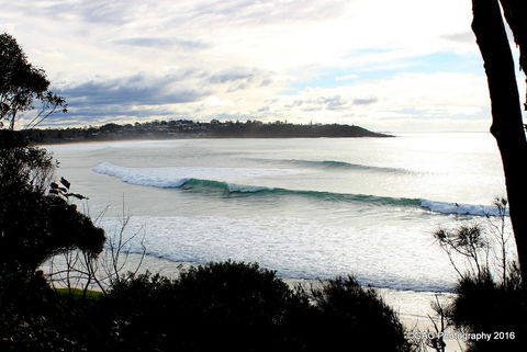 Mollymook Cove Apartments - New South Wales Tourism  2