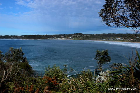 Mollymook Cove Apartments - New South Wales Tourism  1