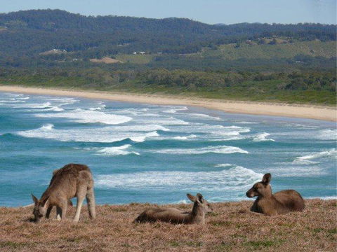 High Tide At Emerald - New South Wales Tourism  13