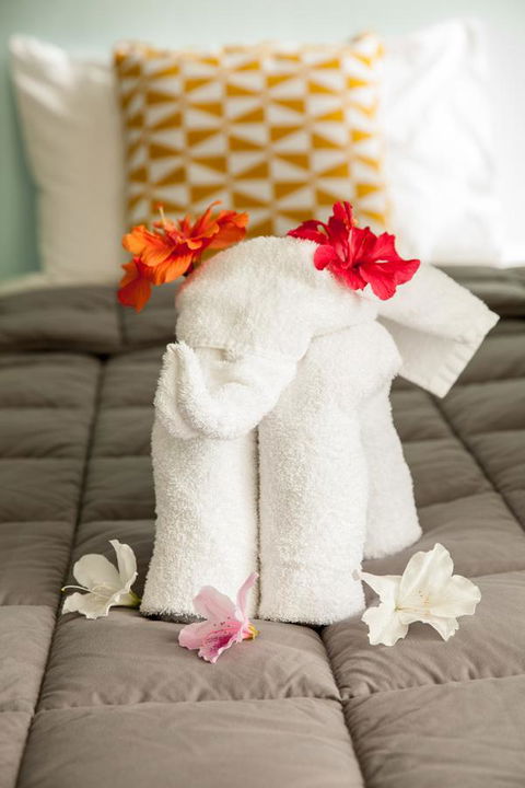 Kempsey Rose Motor Inn - New South Wales Tourism  17