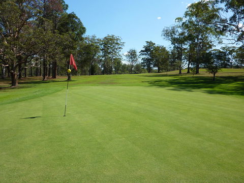 Kempsey Rose Motor Inn - New South Wales Tourism  3