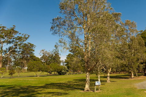Kempsey Rose Motor Inn - New South Wales Tourism  32