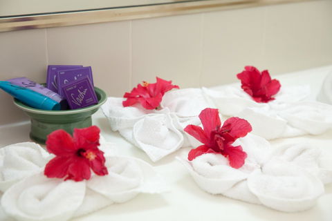Kempsey Rose Motor Inn - New South Wales Tourism  14