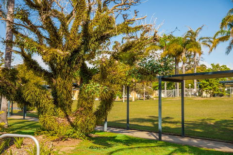 Kempsey Rose Motor Inn - New South Wales Tourism  41