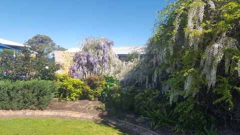 Almond Inn - New South Wales Tourism  28