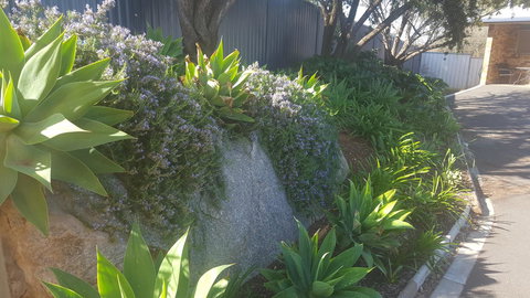 Almond Inn - New South Wales Tourism  27