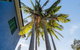 Bondi Beach House - thumb 2