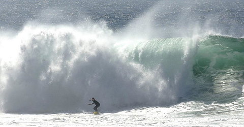 Refuge Cove On Pittwater - New South Wales Tourism  16