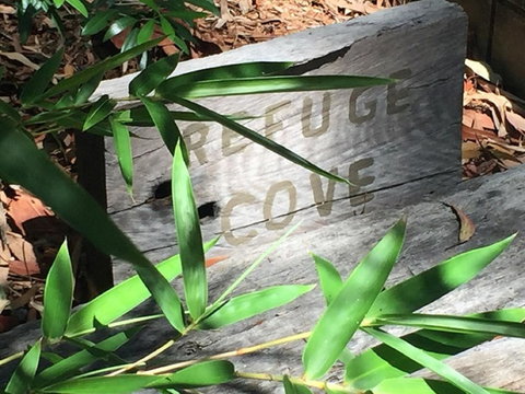 Refuge Cove On Pittwater - New South Wales Tourism  12