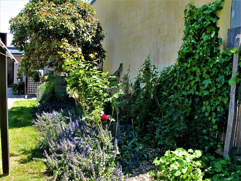 Apple Tree Cottage - New South Wales Tourism  24