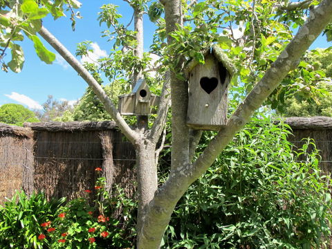 Apple Tree Cottage - New South Wales Tourism  28