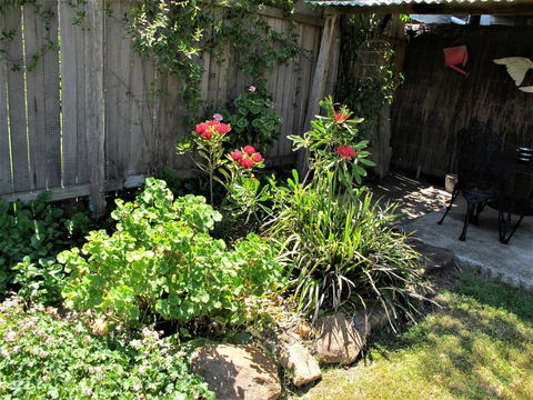 Apple Tree Cottage - New South Wales Tourism  26