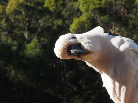 Bundle Hill Cottages - New South Wales Tourism  1